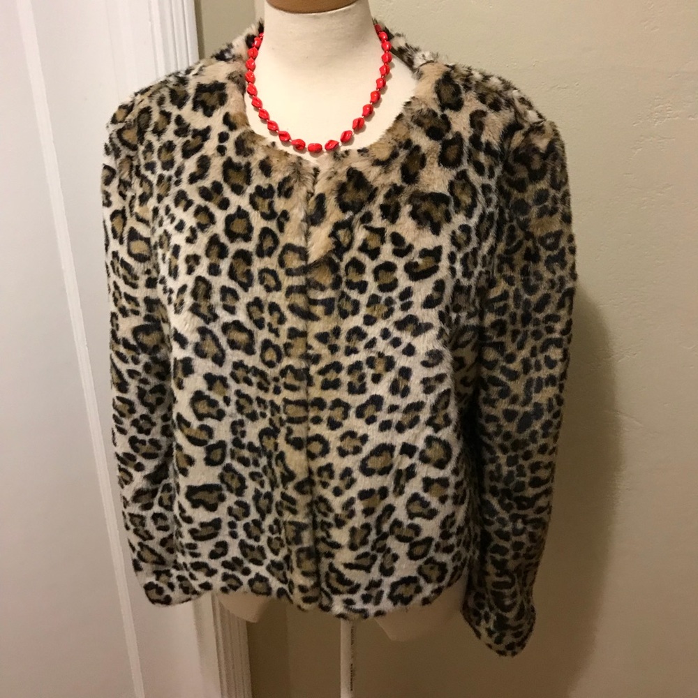 Leopard Coat - Picture 2 of 5